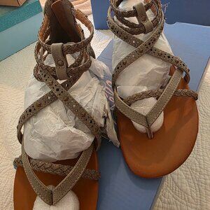 JellyPop Porsha JYLOSM Grey Smooth 030 8.5